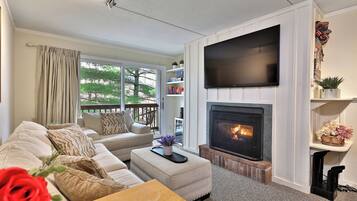 TV, fireplace, DVD player, video library