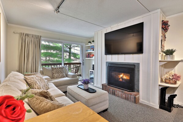 TV, fireplace, DVD player, video library