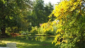 Ein friedlicher Park mit Teich, üppigem Grün und einer hölzernen Bank.