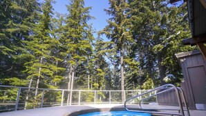 A swimming pool with a metal ladder, surrounded by a metal fence, and trees in the background.