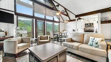 Télévision, cheminée, livres, espaces bureaux