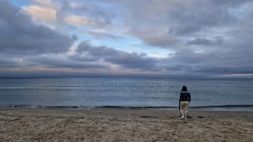 A person standing on a sandy beach with a view of the ocean and cloudy sky.
