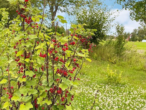 2 Person Holiday Home in Kil-by Traum