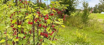 2 Person Holiday Home in Kil-by Traum