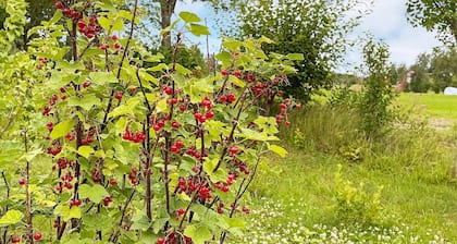 2 Person Holiday Home in Kil-by Traum