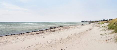 House | Beach