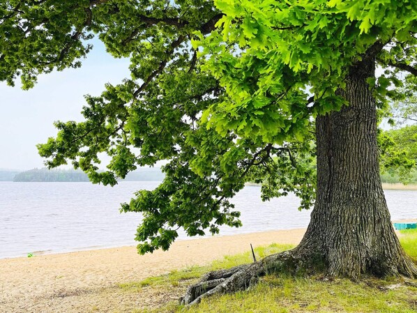 House | Property grounds - 4 Person Holiday Home in Allingsas, Sverige (Alingsas)