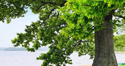 4 Person Holiday Home in Allingsas, Sverige