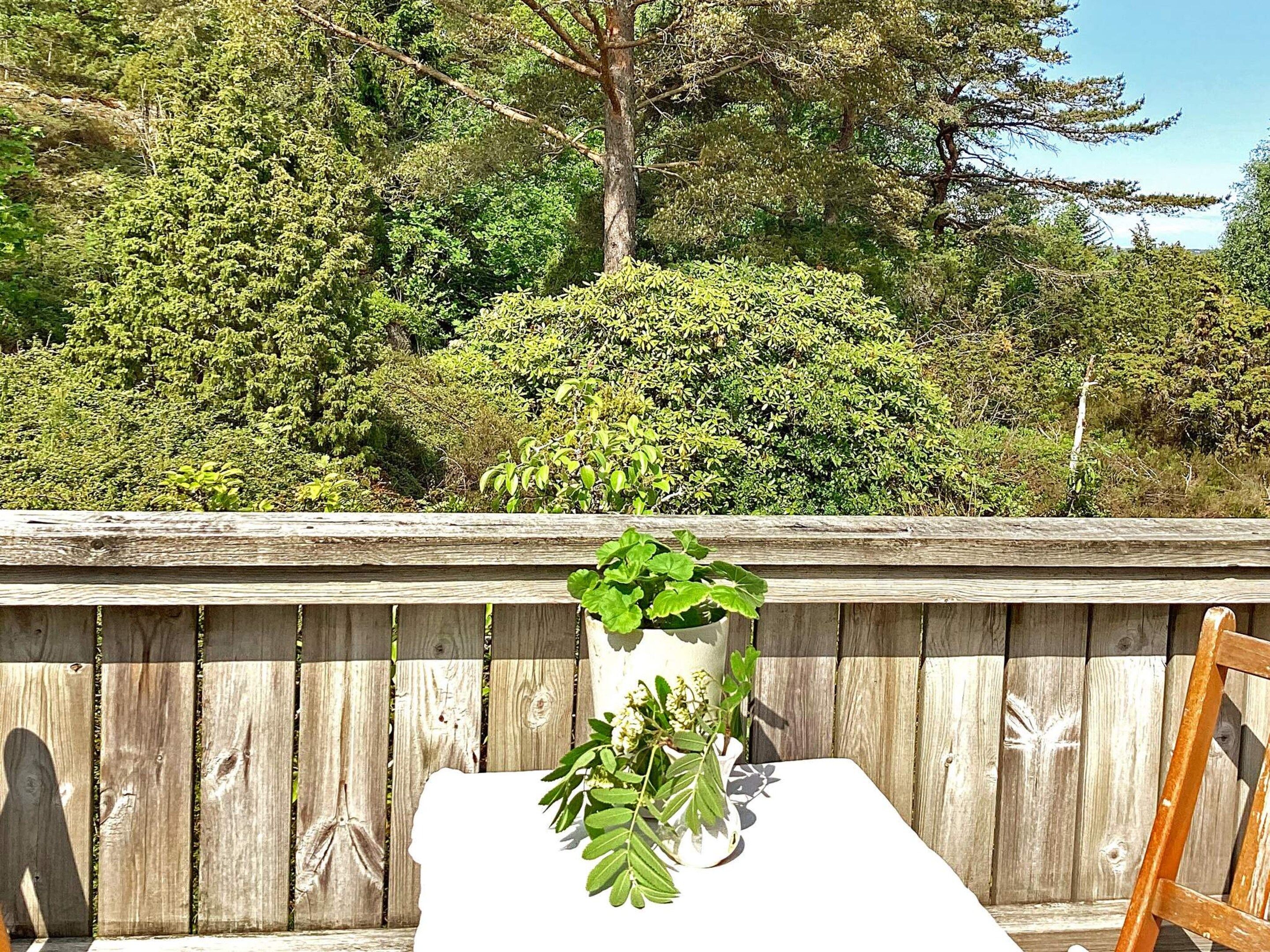 A white table with a potted plant in the center, set against a wooden fence with a backdrop of dense green foliage.