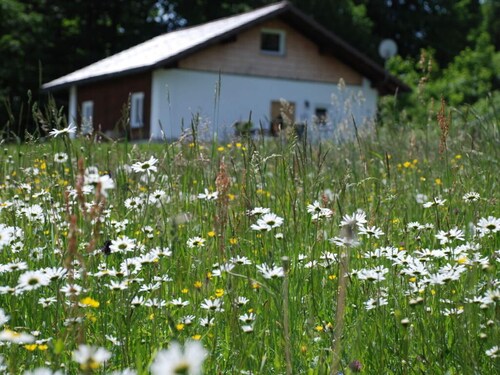 Attractive Apartment in Haidmuhle