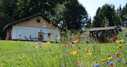 Attractive Apartment in Haidmuhle