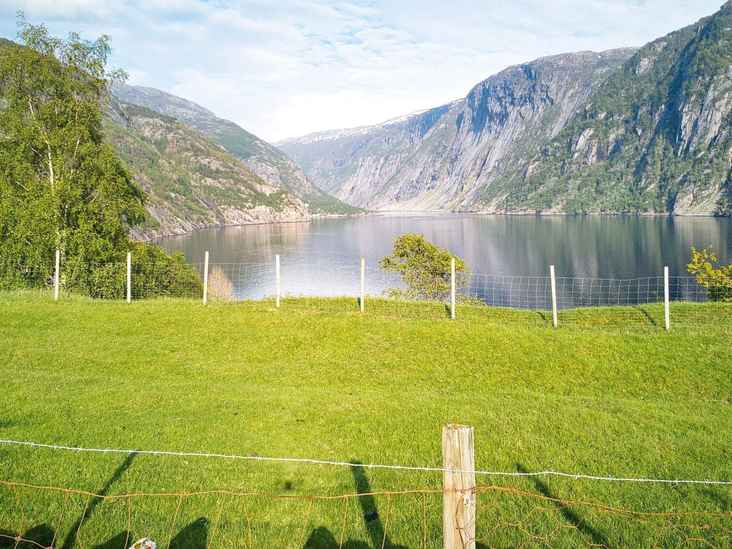 Un champ verdoyant avec un lac et des montagnes en arrière-plan.