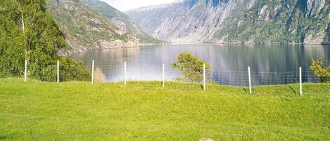 Un champ verdoyant avec un lac et des montagnes en arrière-plan.