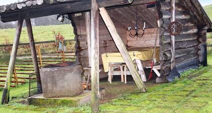 4 Person Holiday Home in Halmstad