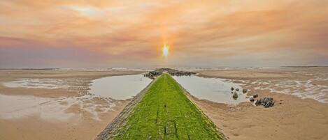 Apartment | View from property