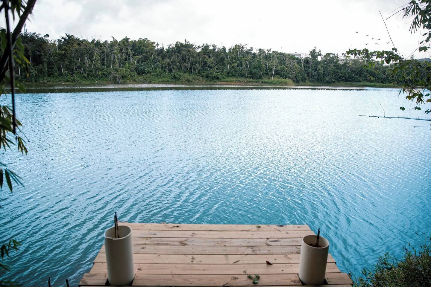 Une terrasse en bois s’étendant au-dessus d’un lac paisible, avec une forêt dense en arrière-plan.
