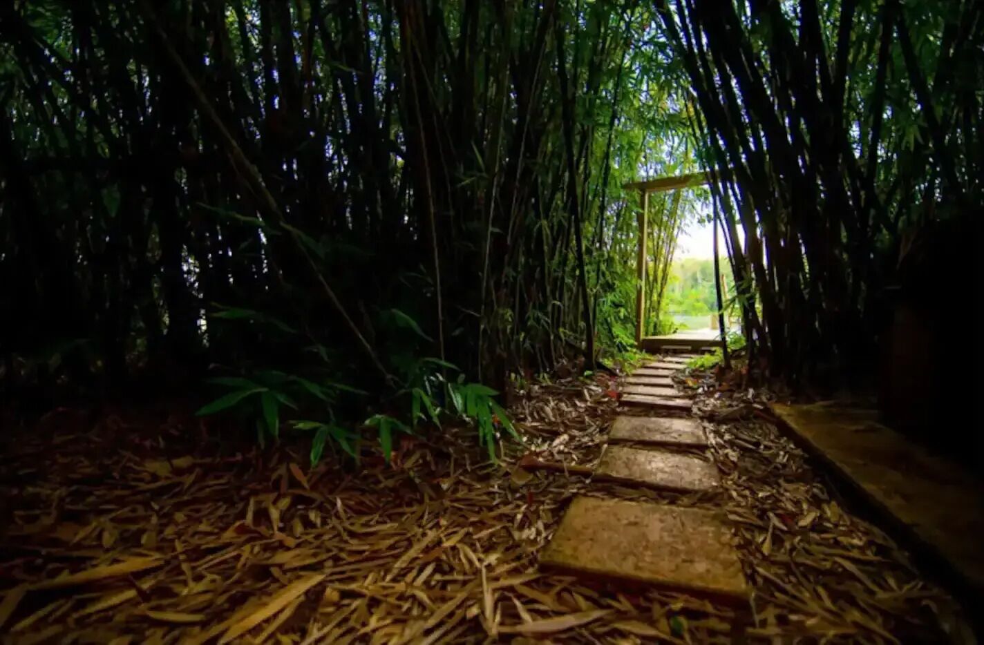Enceinte de l’hébergement