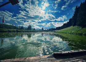 Apartment | View from property