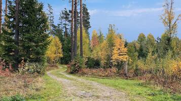 Ferienhaus | Außenbereich