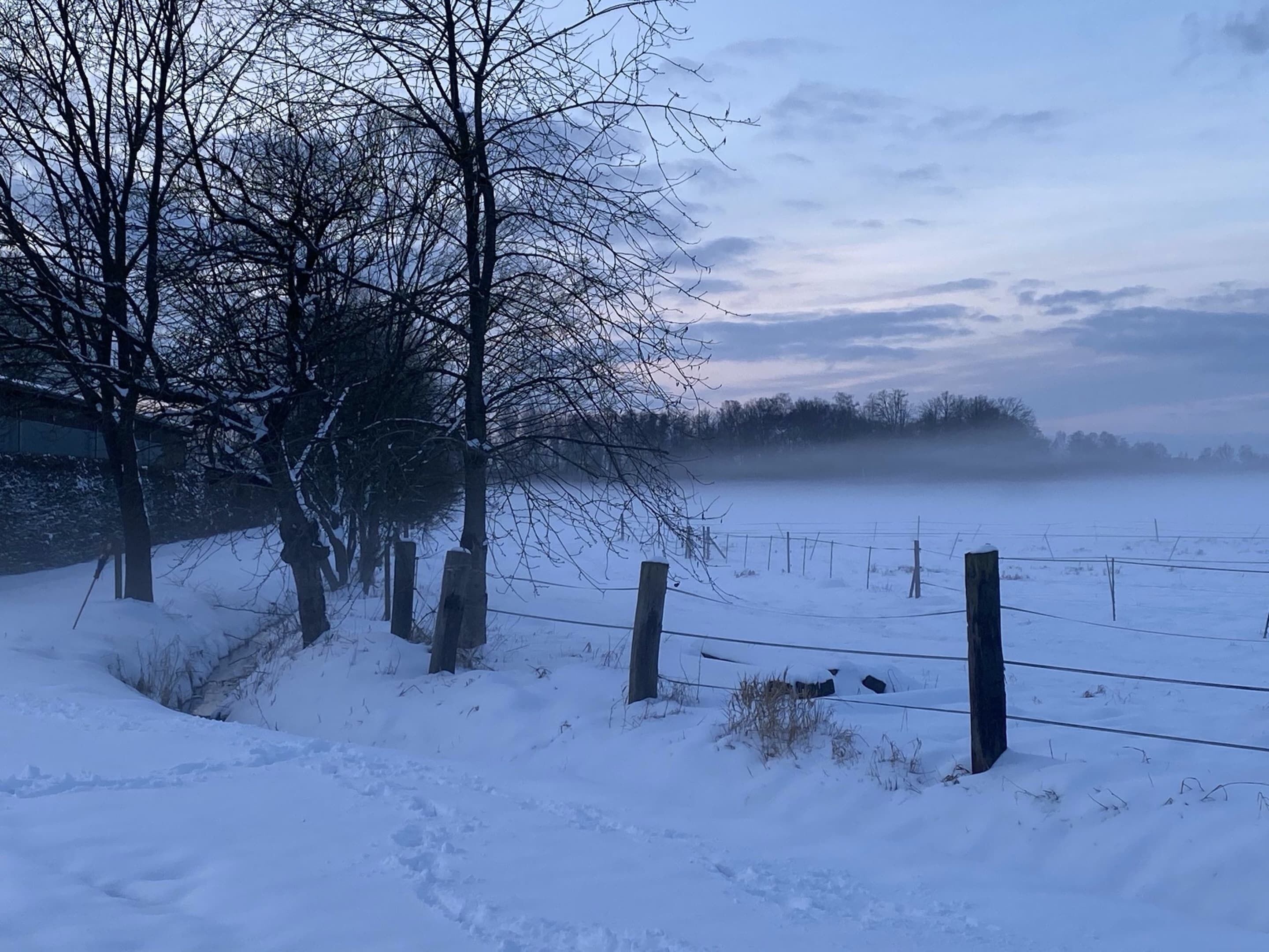A snow-covered landscape with bare trees and a fence.
