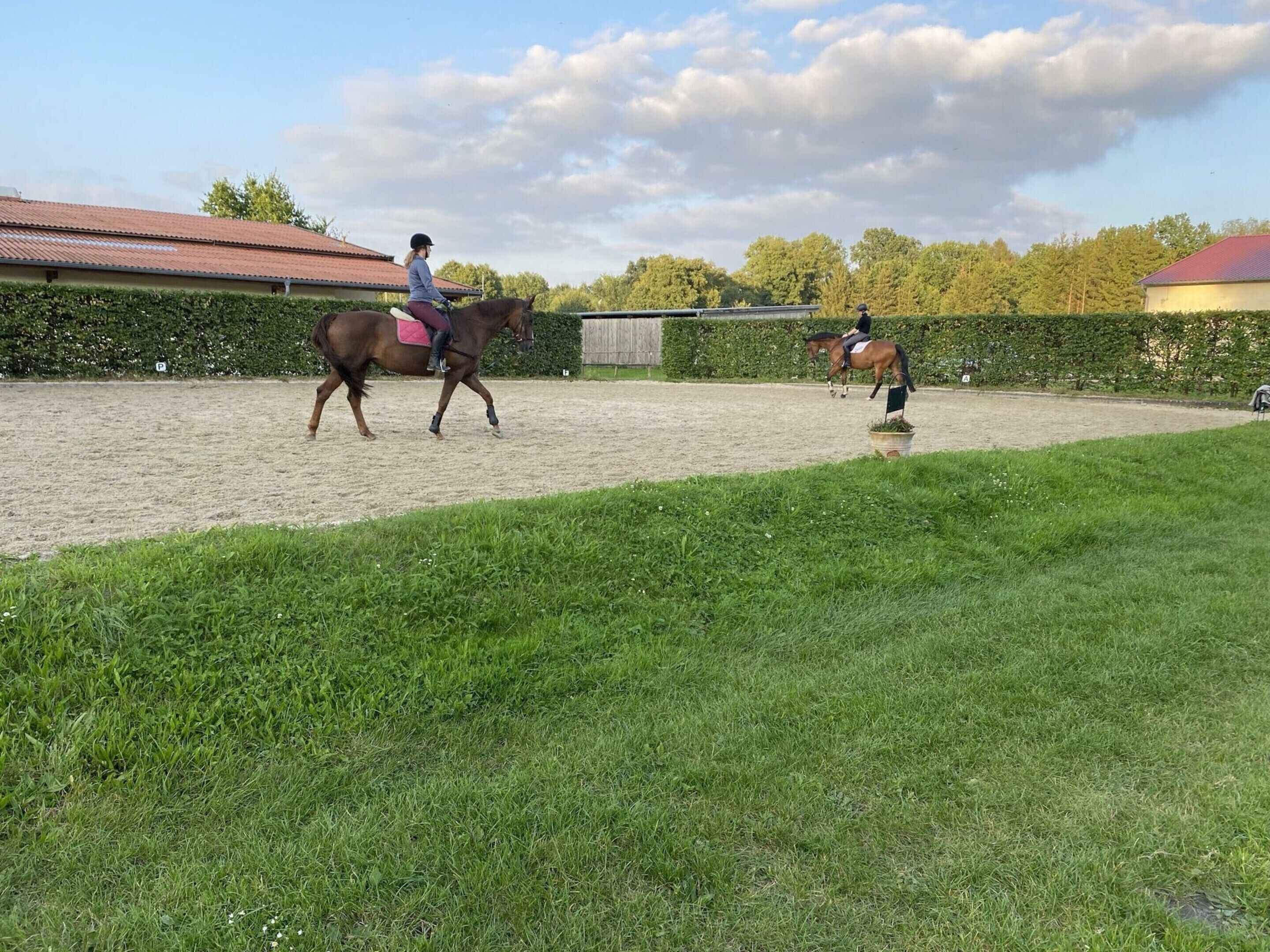 An indoor riding arena with a sandy floor and a grassy area in the foreground.