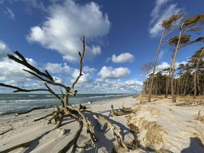 Beach - Old Shipman's House Comfortable Holiday Residence (Wieck auf dem Darss)