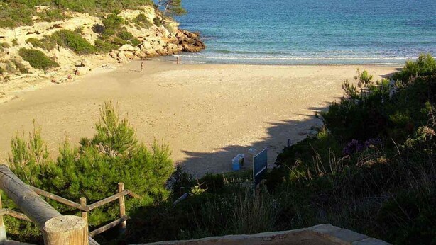 Una platja amb un penya-segat rocos i una tanca de fusta.