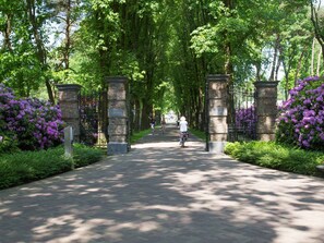 Chalet | Exterior - Modern Chalet With Dishwasher (Lunteren)