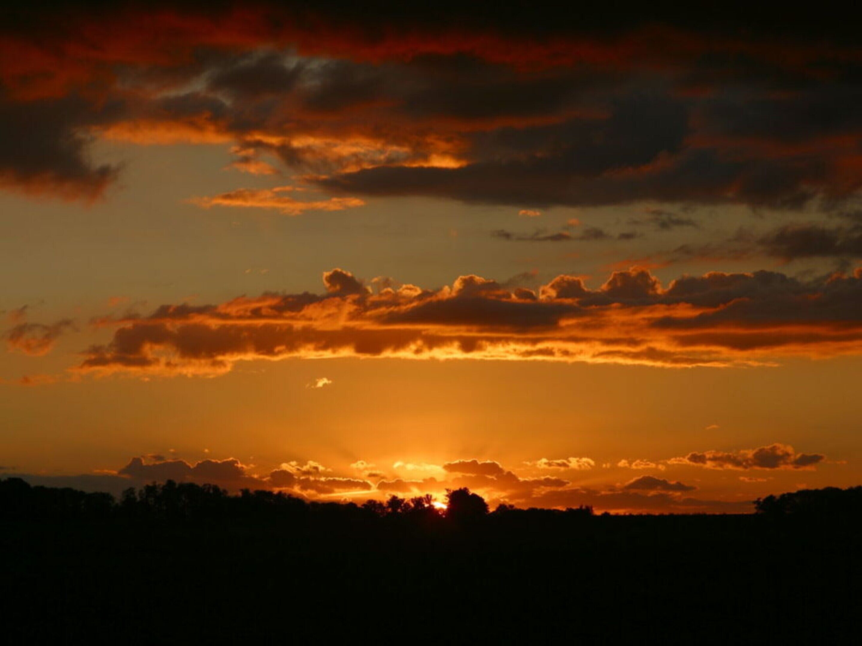 A sunset with clouds and silhouettes of trees.