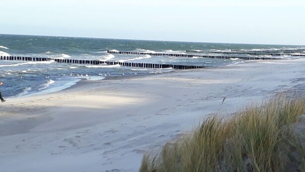 Una playa con varias estructuras de protección costera que se adentran en el mar.