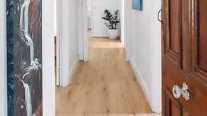 Un pasillo con suelo de madera, paredes blancas, un cuadro grande a la izquierda, una planta en maceta en el centro y una puerta de madera a la derecha.