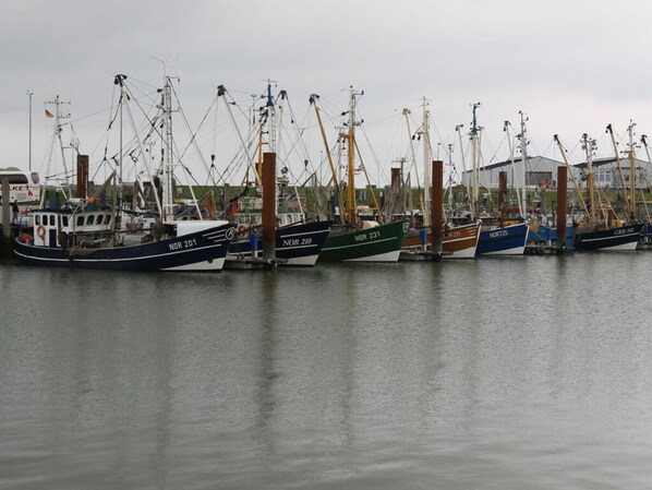 Marina - Holiday Apartment Salt Marshes (Reken)