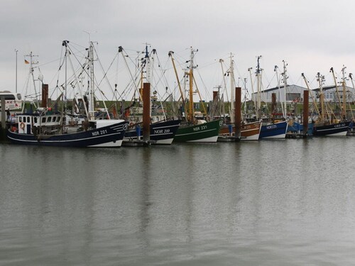 Holiday Apartment Salt Marshes
