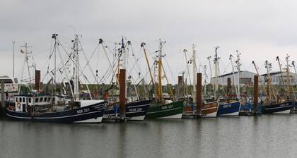 Holiday Apartment Salt Marshes