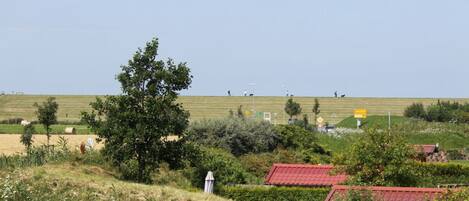 الإطلالة من المنشأة