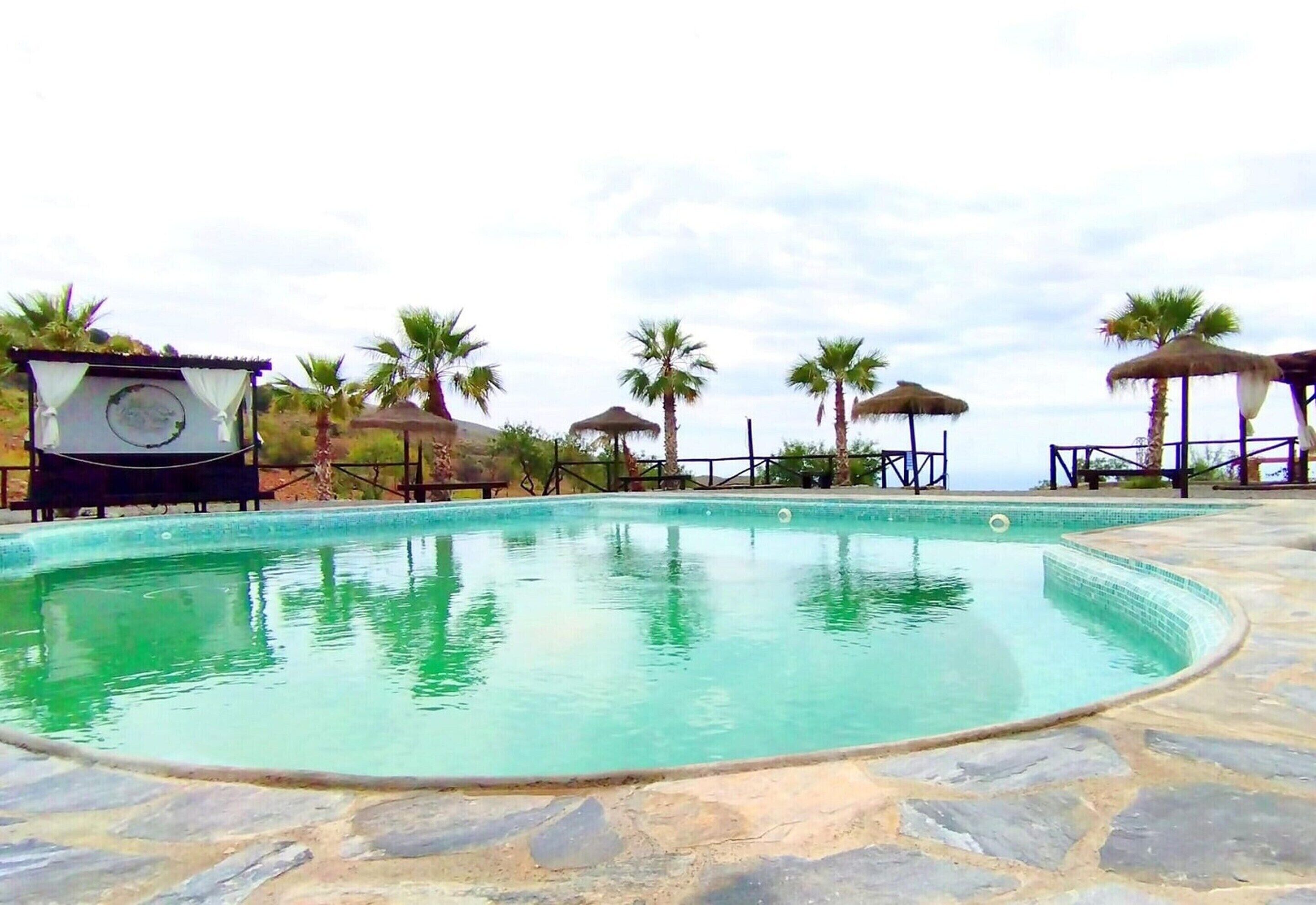 A swimming pool with a stone deck, surrounded by palm trees and thatched umbrellas.