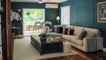 Smart TV, fireplace, books