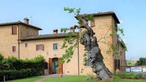 Un bâtiment traditionnel en pierre, avec un grand arbre devant.