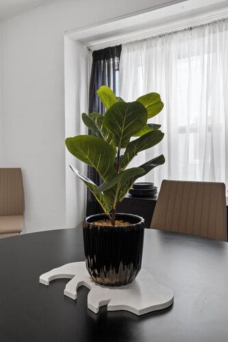 Entire apt near Olmstead Delaware park, North Buffalo, Zoo, UB & 2 Hosp.