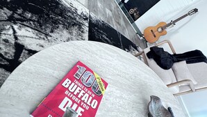 A room with a white marble table, a book titled '100 Things to Do in Buffalo Before You Die', a guitar, and a bicycle. - Entire apt near Olmstead Delaware park, North Buffalo, Zoo, UB & 2 Hosp. (Buffalo)