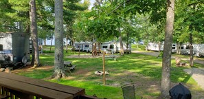 Property grounds - Tiny cabin in towering pines, with lake view. Pets accepted! (Nevis)