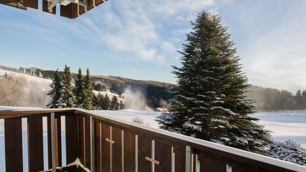 A wooden balcony with a view of a snowy landscape and a large evergreen tree. - Small Studio in Neuastenberg With Balcony (Winterberg)