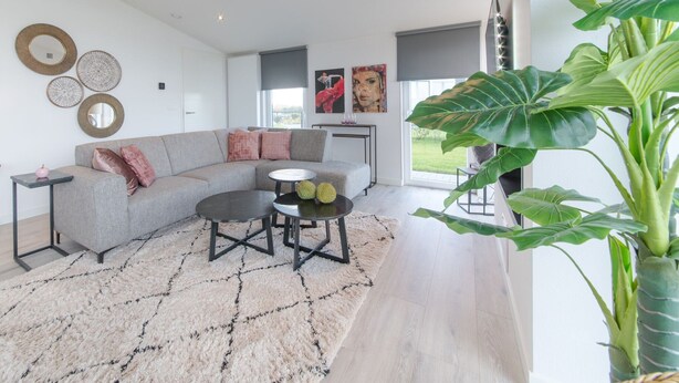 A modern living room with a grey sectional sofa, a round coffee table, and a large green plant. - House in Zeeland With Terrace by the Dyke (Wemeldinge)