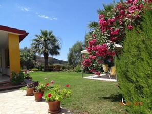 Exterior - Holiday Home Casa Solaria (Sinnai)