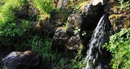 Holiday Apartment Weipert