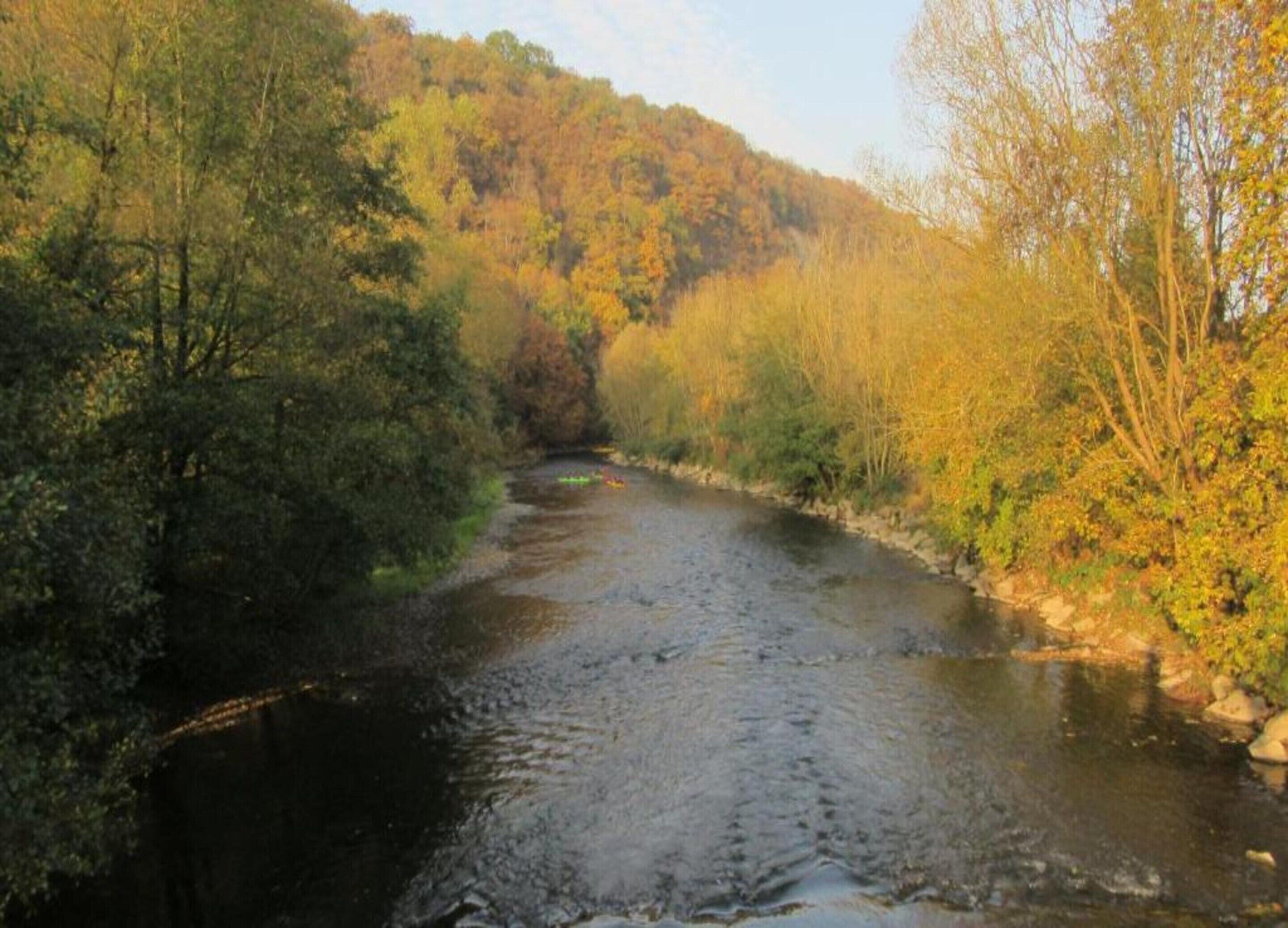 A river flowing through a forested area with dense trees on both sides.