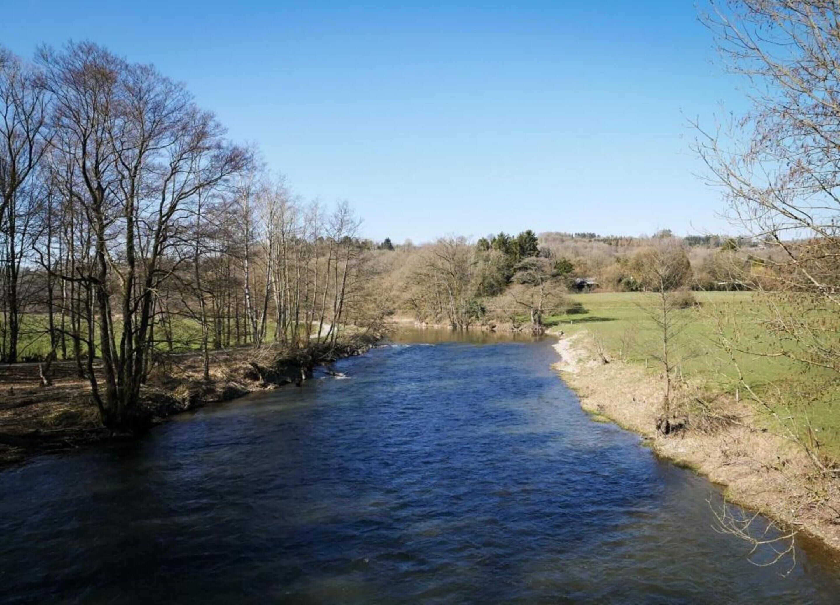 A river flowing through a rural landscape with trees and open fields.