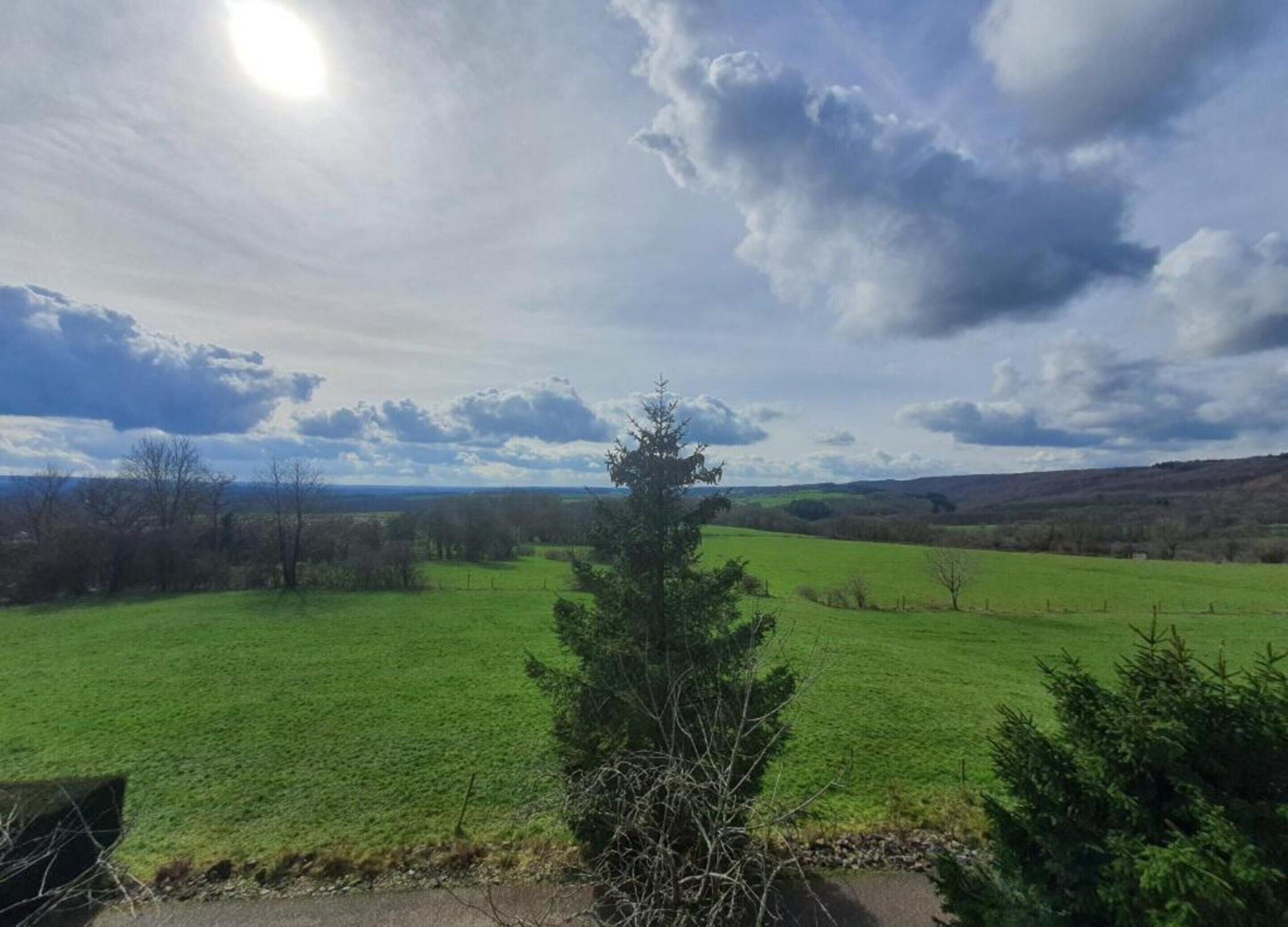 Ett lantligt landskap med en grön åker, ett träd och en molnig himmel.