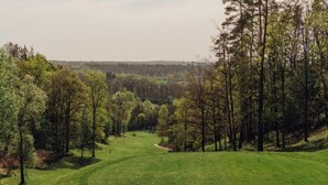 Ein Golfplatz mit gepflegtem Grün, umgeben von hohen Bäumen und einer entfernten bewaldeten Fläche.