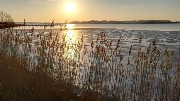 A frozen lake with tall grasses in the foreground and a sunset in the background. - Huus Schippe "stockholm" (Maasholm)